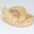 Freeze Dried Banana Pieces