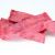 Freeze Dried Beetroot Pieces