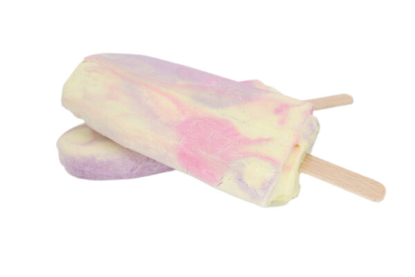 Freeze Dried Rainbow Paddle Pop - Image 2
