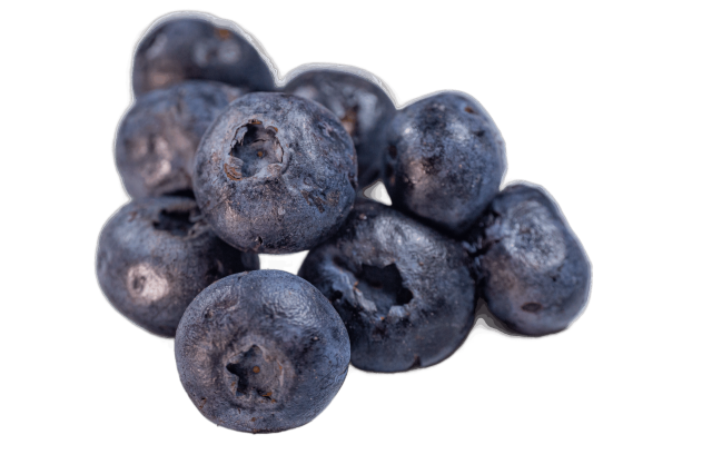 Freeze Dried Blueberries