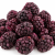 Freeze Dried Blackberry